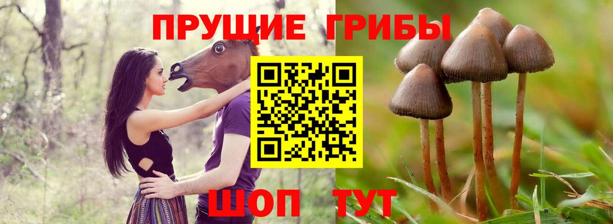 ЭКСТАЗИ  Бошки Шишки  Меф МЯУ МЯУ кристаллы  Кокаин  Пугачёв  Гашиш  Вход с VPN  ГАШ  MDMA 