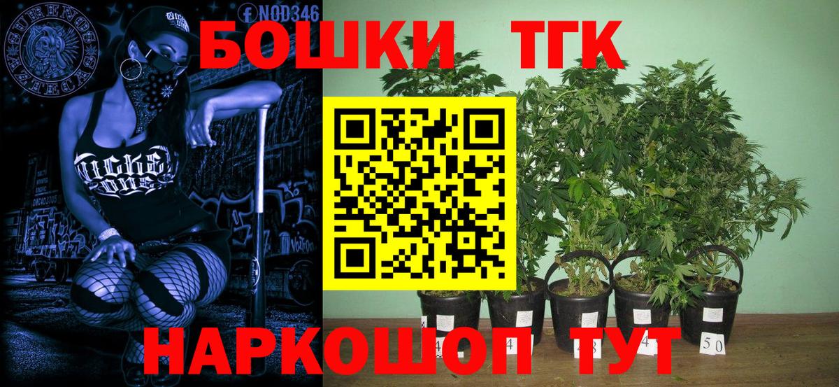 Конопля конопля Пугачёв